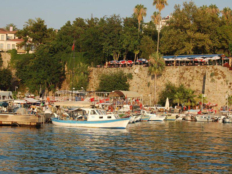 43CE21A8B738169226E055D5E78438B1