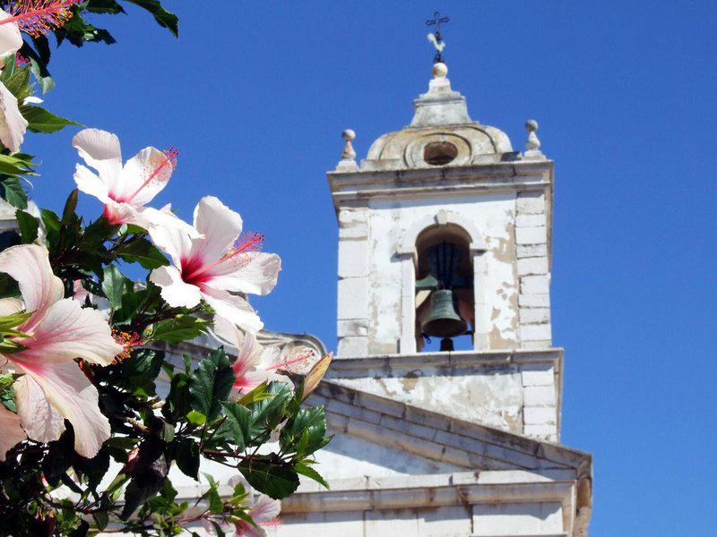 080EB829D493AE93AA3A94B3487C0F6C