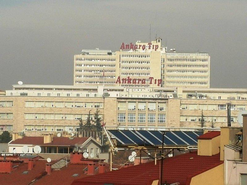 E3D15ACF3E9EE30ED3DEE0AA4E76274E