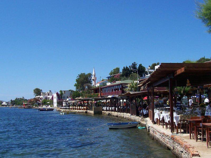 461A84630C04E0114D21D5C5DE9693C4