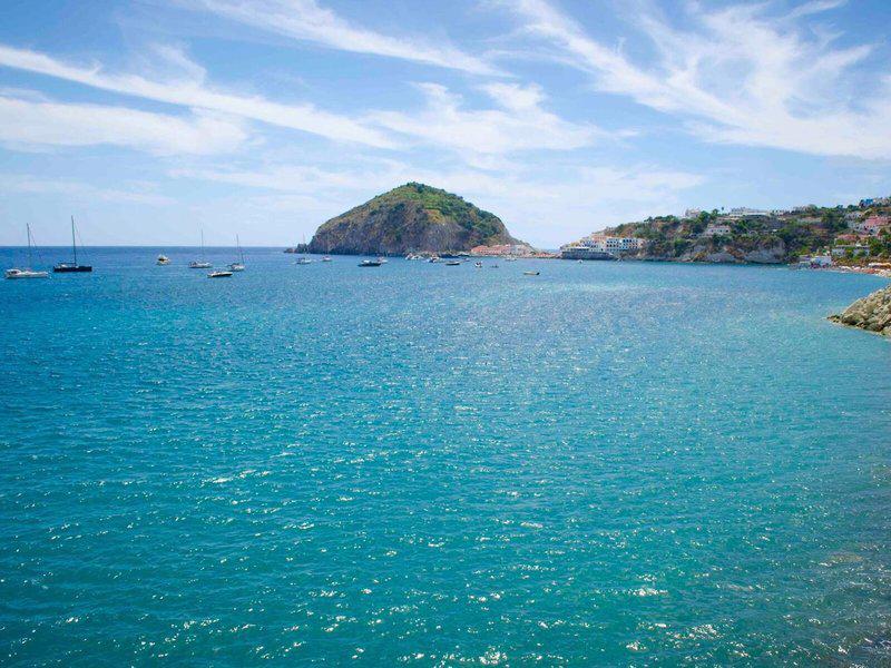 DB040FDE4C07986AB8F2A81847F8D58B