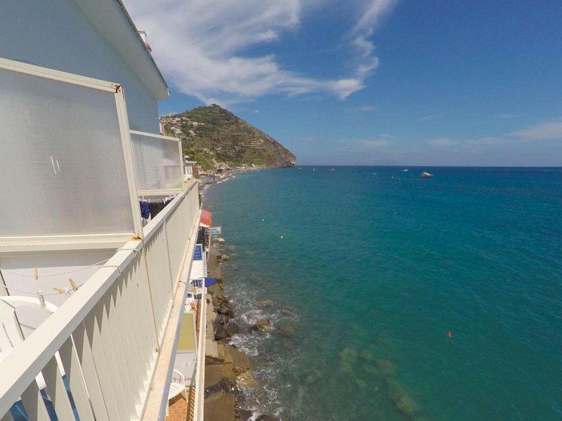 AEFE9521513D6267C4B443F40540EAC8