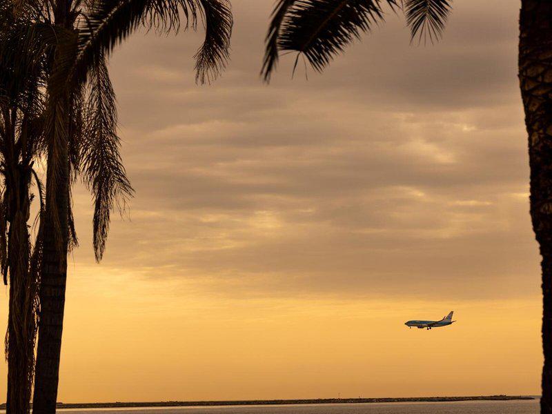 B81C8B0AEC8F61B8D478C86A2A485C8F