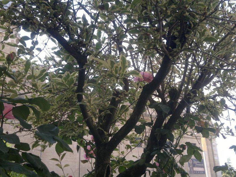 823F7DAD32887563CD21B6211D13EAFB