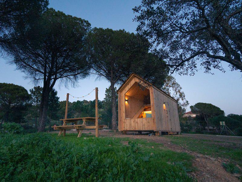 6FCE6DDB4EF32CA1C10BDCBC4762F969