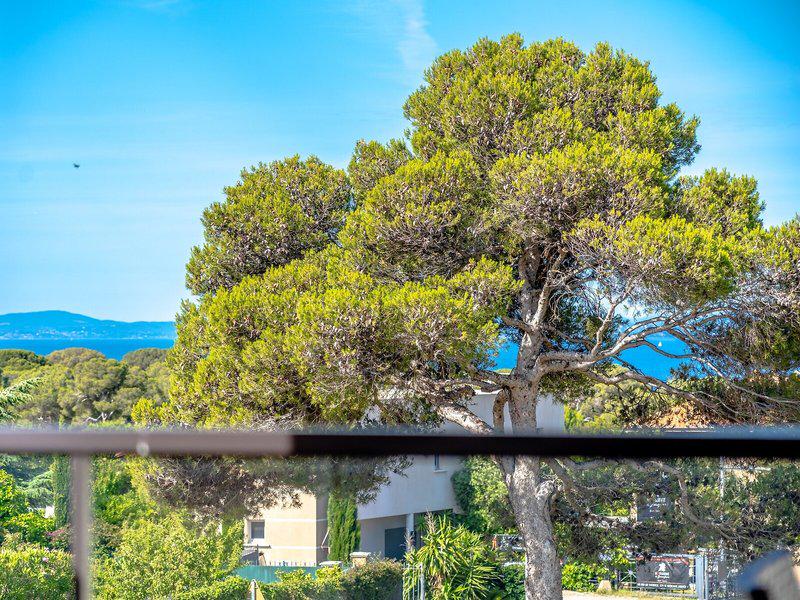 D715D4AA6BB2E5535F8B7860AD265255