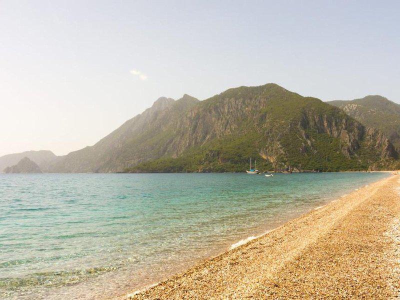 9530C3F1B2E59D8A776F116472933251