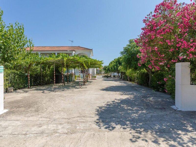 DD9825C070693FE226BFB99C1FE05736