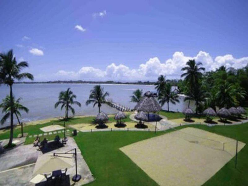 C49E8F78F9C581DD635453A320D5C4BE