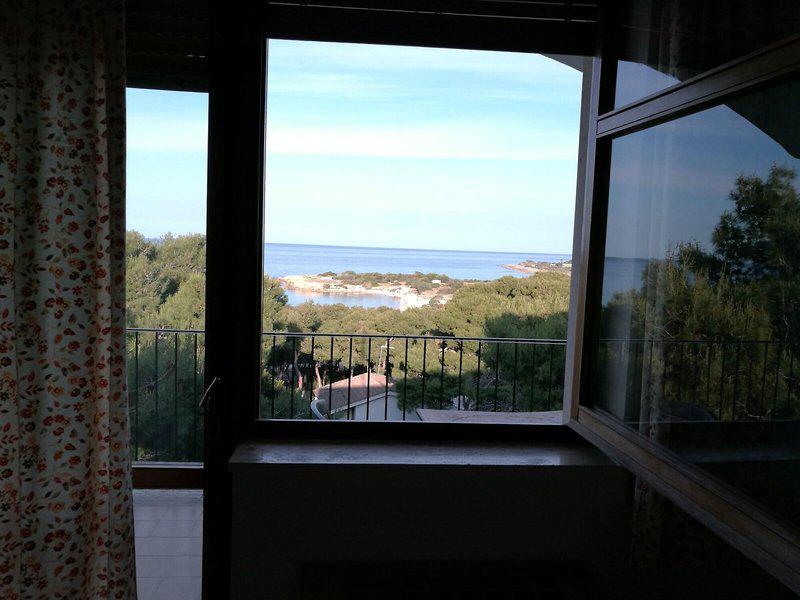 9E1EC10588CD74F456C1758DC2AF9BD9