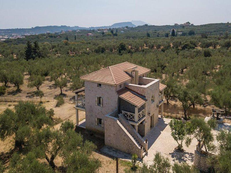 96BB3E58C039936EF496235D99C82B66