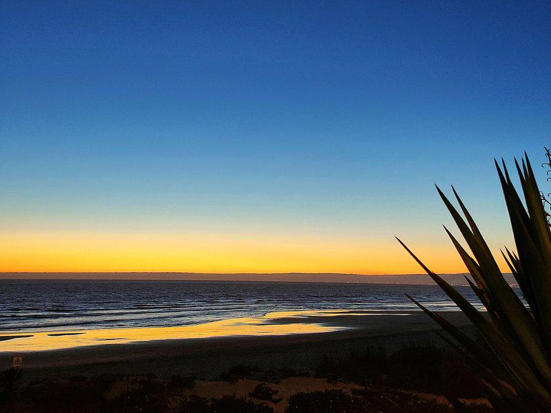 1E902C8644A61025FBD9518D598DD4E5