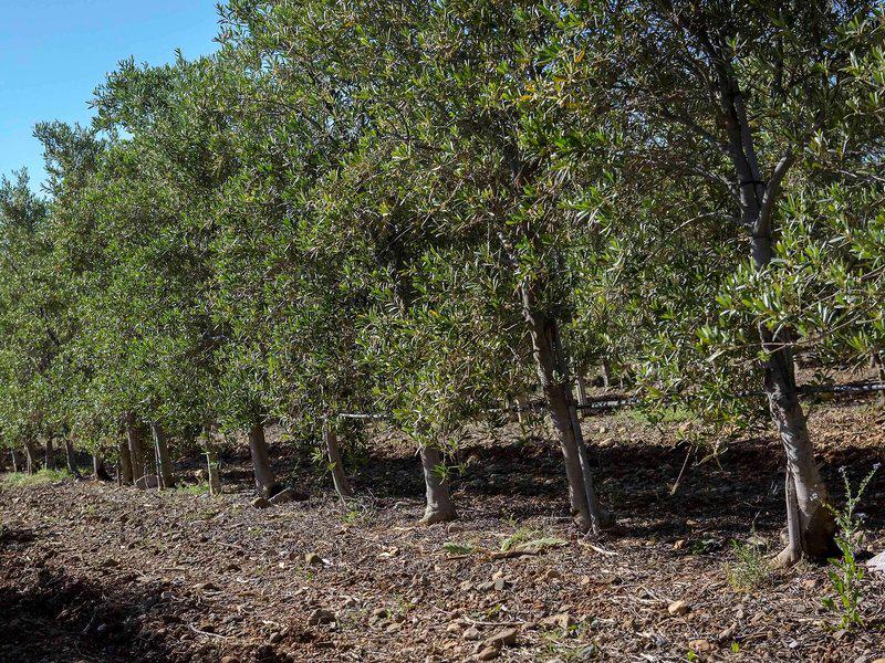 FF9CAB1FAEB07E5AC5D0B8A47B856EFE