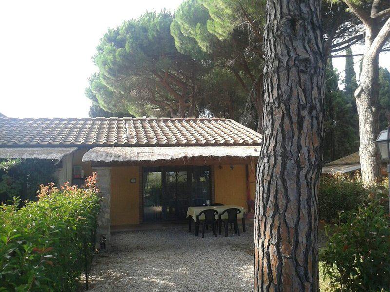 E5A86B3E18041663790F9D7CDE3C2A6E