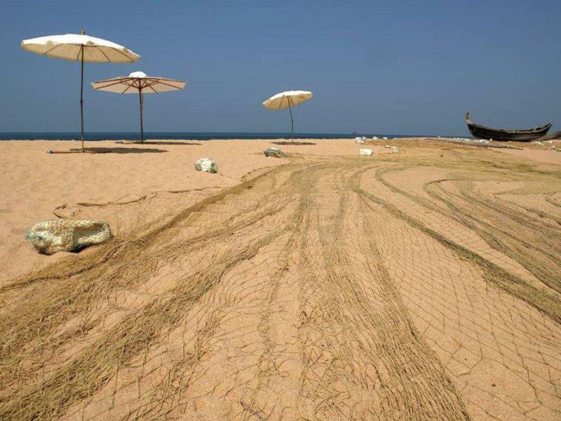 3B4DA3A07D908D9D1F8076B3D699A787