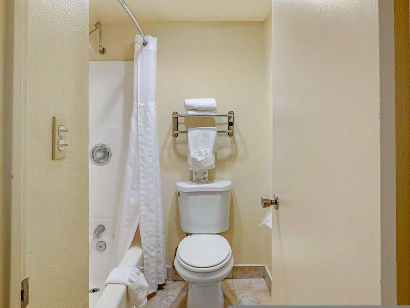 8A37E2A2E7C4E57BF4DC840C2B2D2C11