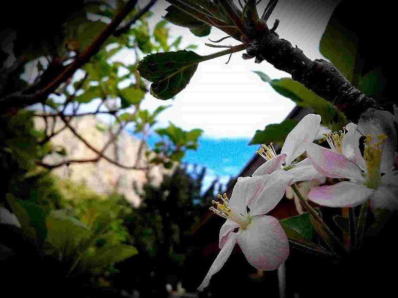 52083846016271453F2EA309EEBC8A11