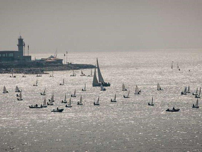 F9F848E4A7EB329455BA2C1E9B8C10C5