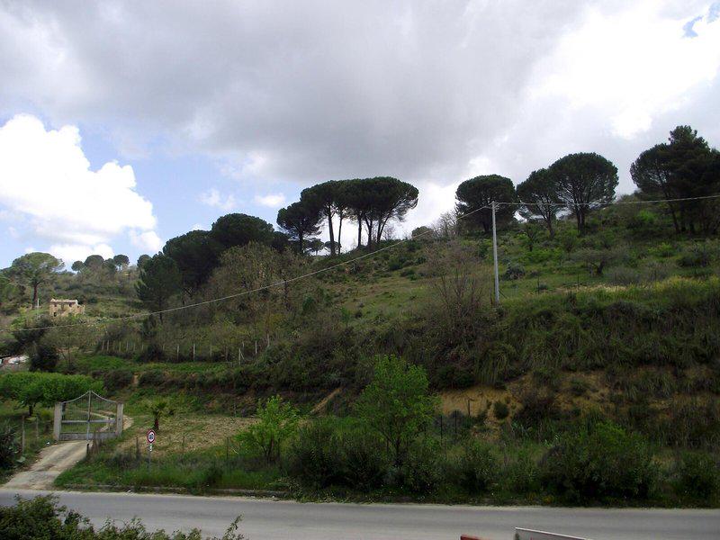 96FD69EFA0924B641D3B009A35C8D625