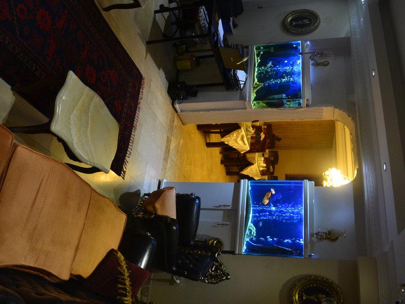 B6CA0B059E9B0A4E7345133211A70CD5