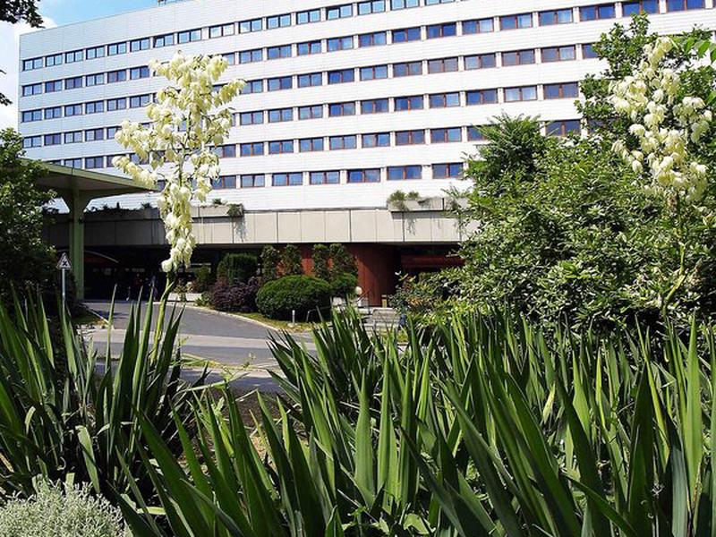 3AFDD31EA93EFAAF2CB6E055A4339A86