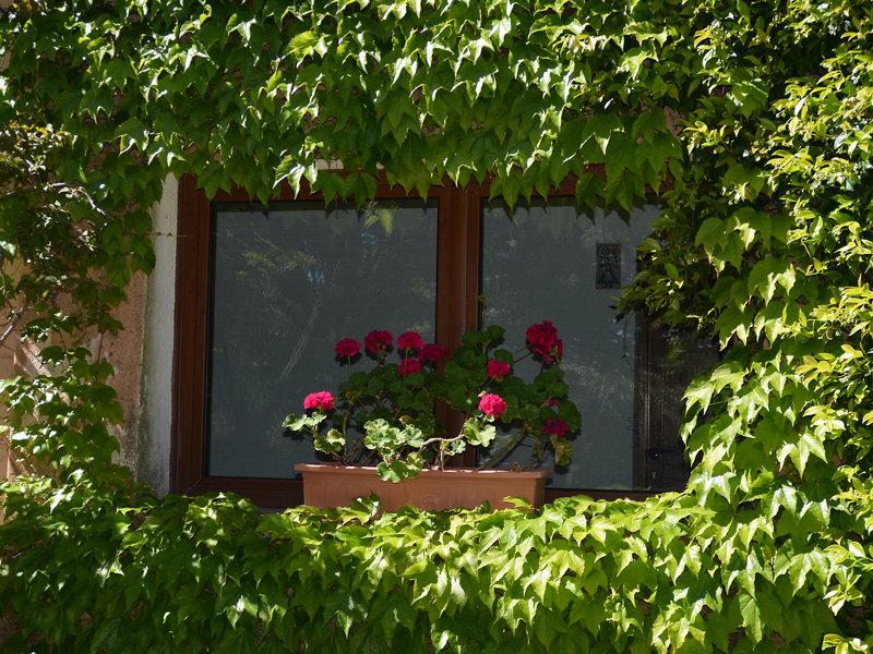 800BC121495E832723DBDDE62E73D497