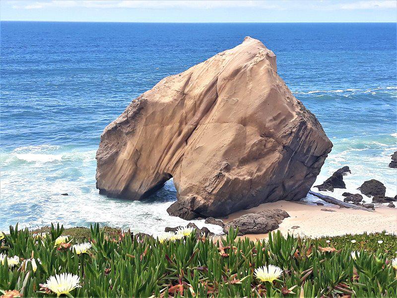 7AFDC59D28C8F9930B934F468168B403