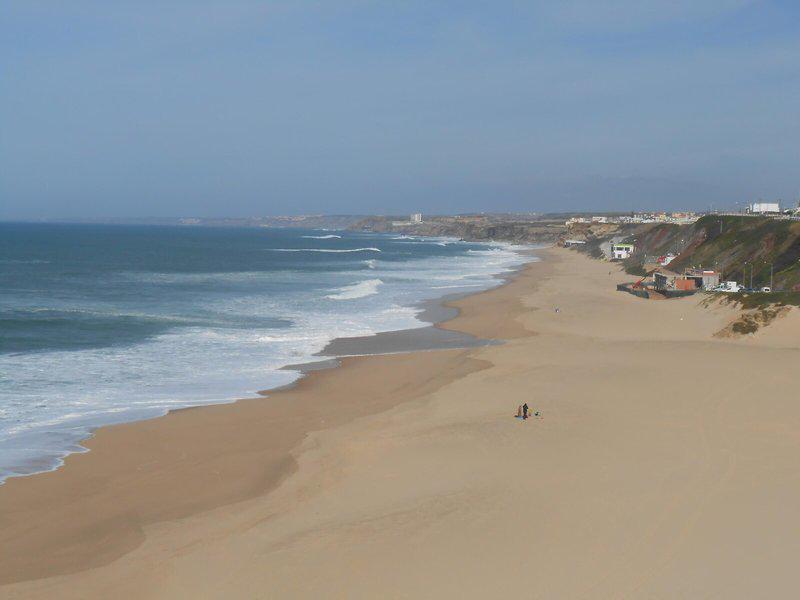 9C11C4951195BE537DE859D9A6F23272