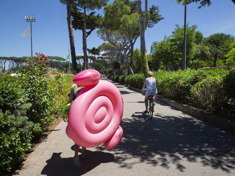 B51FE75B225EF841E57CCE78DF5ABA2F