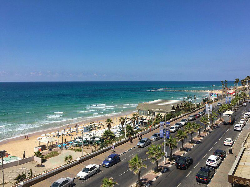 3B44F9590675E027A5C83C8D1ED29413