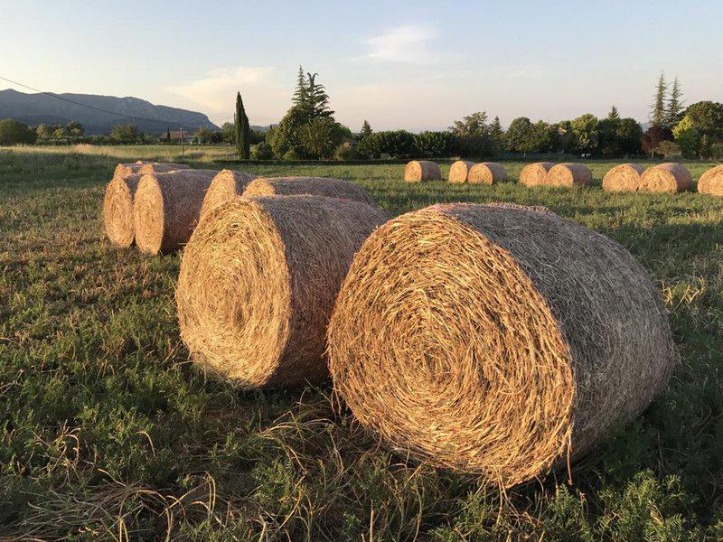 B3BBC9EE59839D0AD3E425A0DCB28D56