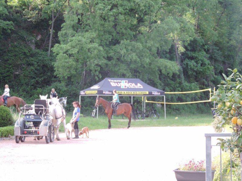 04535C549217E6874A6CE30594E7286D