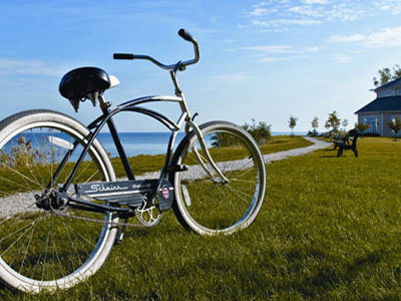 FAF37EC8EA41FC2811A4BDD0CDBD210D