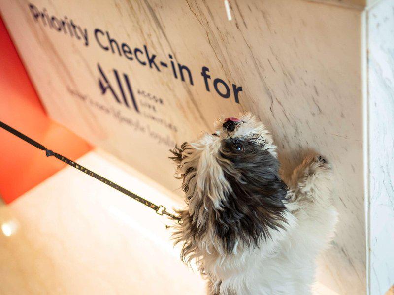 A2B16930DBFDC659D5AD28CCACB571A2