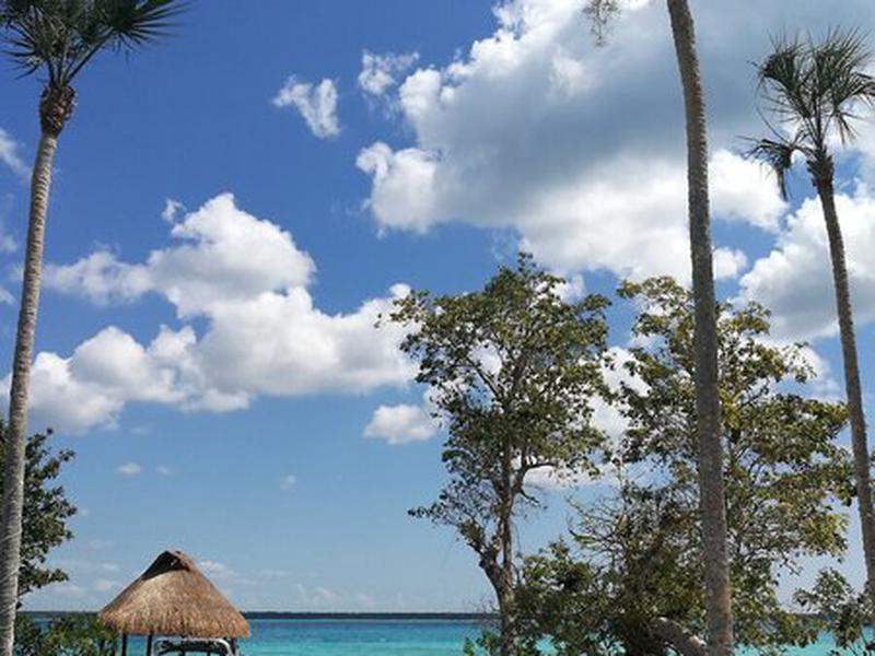 CFF1AEE863B144481F98332E6939C1C4