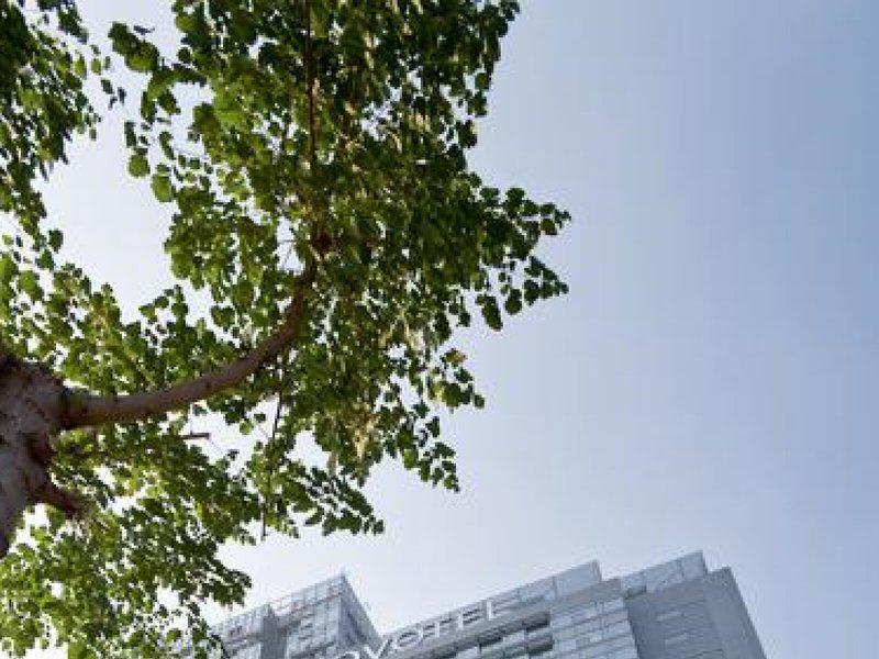 A52429B161E941E44CF24A9089D3DC9F