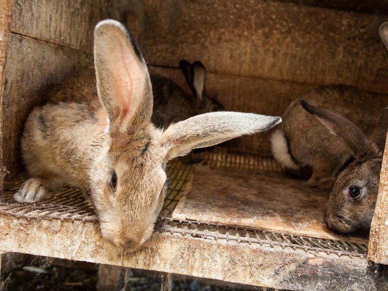 7D2F634B067F4D1A8E78E447FA0F9A9F