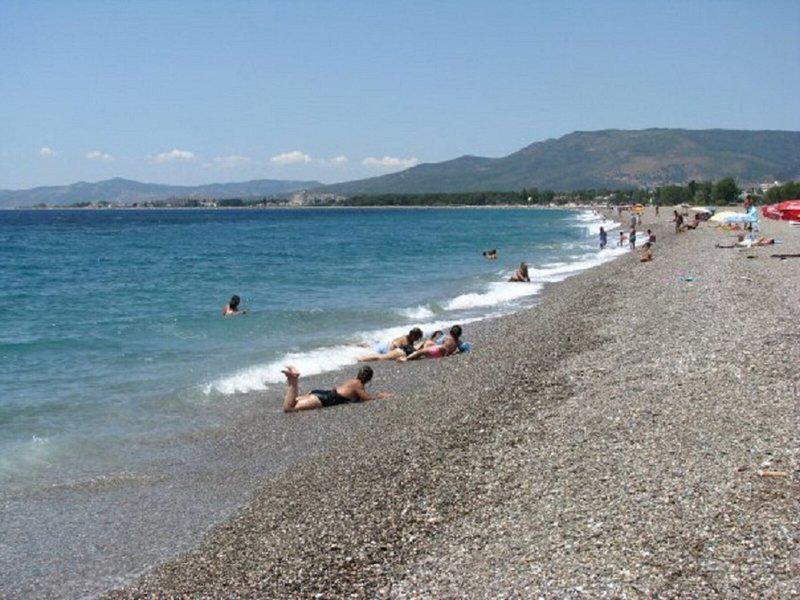 C30ED9B4C951D887D3EB3E8C0FC04B0D