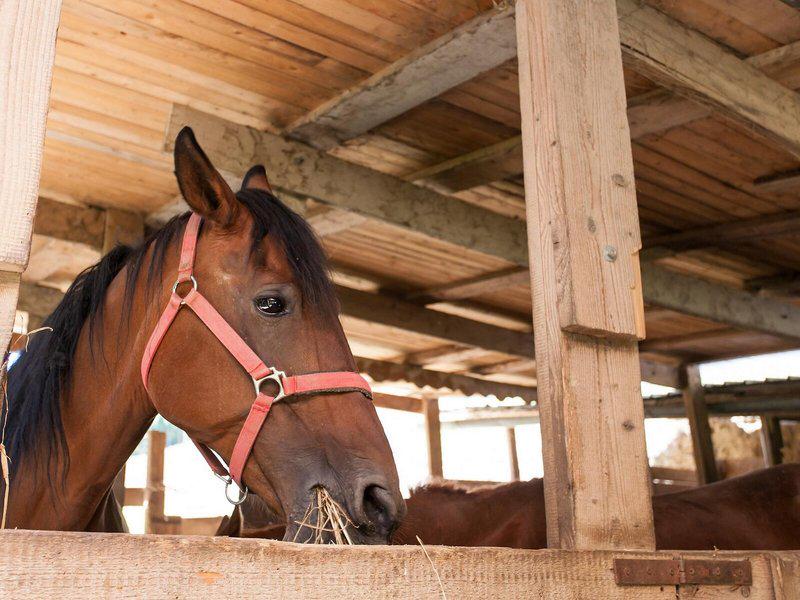 ABA9CA813350898C93540D5F2C523797