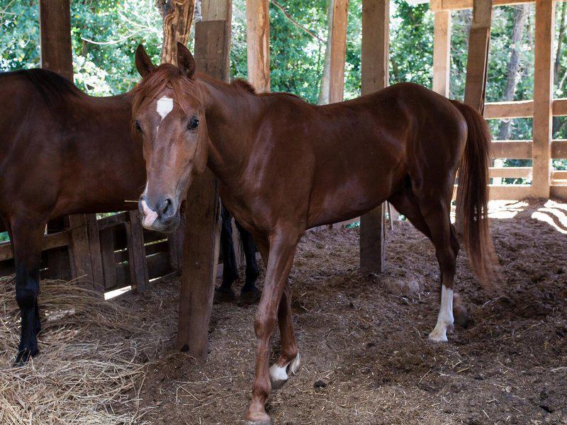 298A7BCFB386AF4601838C672A0F68A5