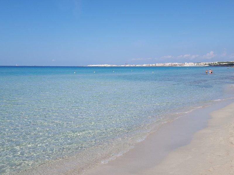 7233E9A3D300DB654BA7D183257353DB