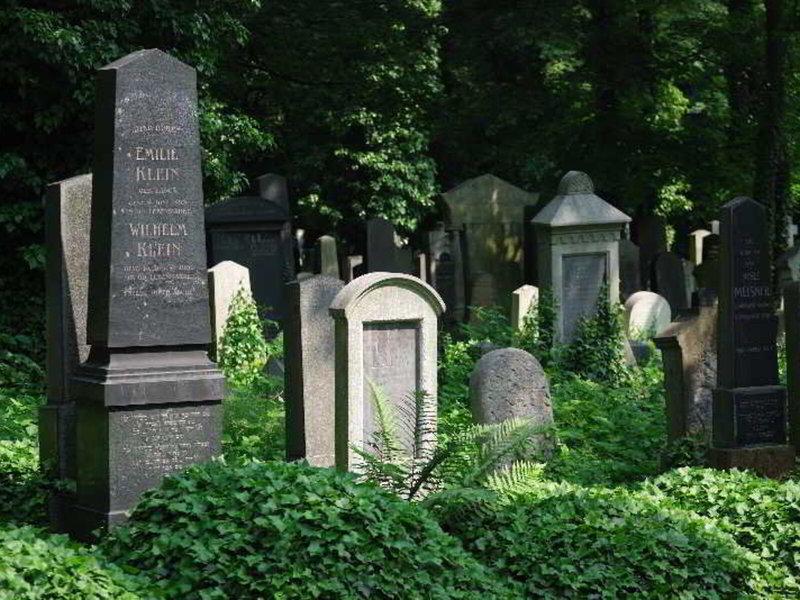 D81CE751BC6CF7D280F52EF28598FAAE