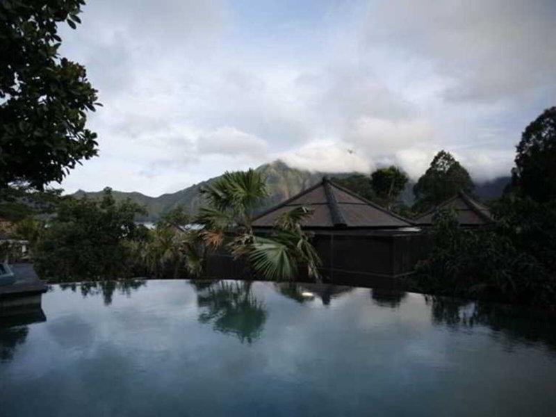 80F6AB6BCB39FC3D50D15546A0619709