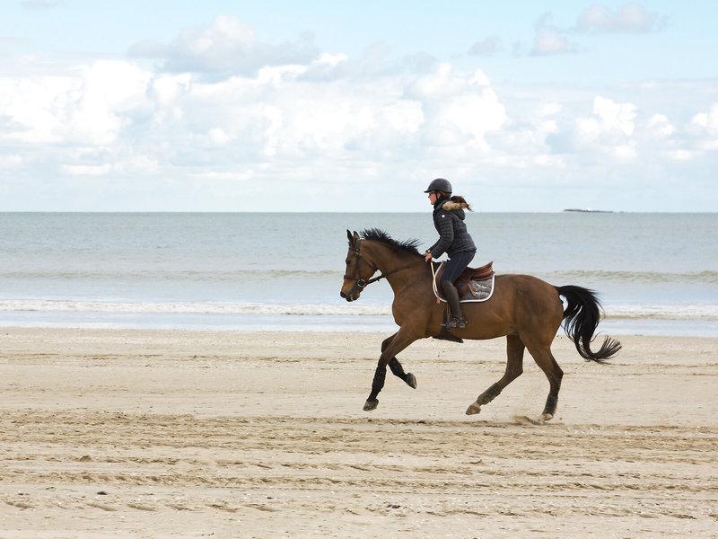 02C3130970E5257D649D8CB17F81A975