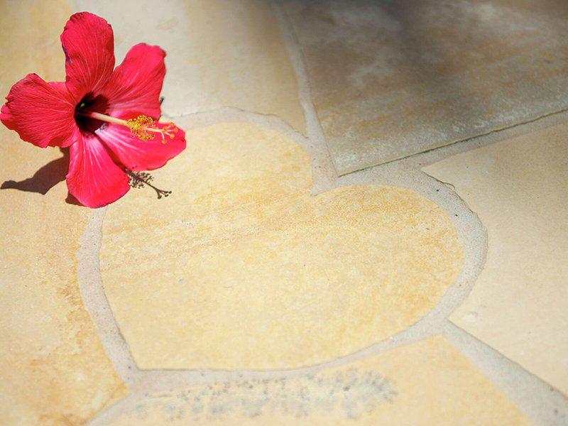 D92BF9087E011F1201955BB1E21D1AEB