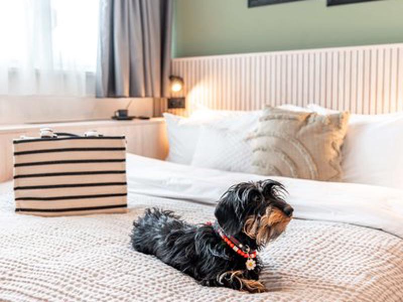 B3ED183F26C75A506F4BDF00D503155A