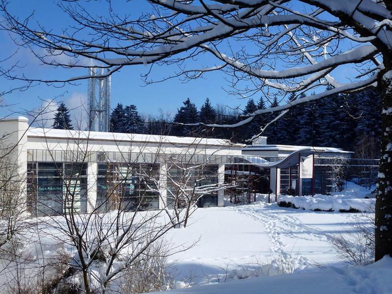 315B17F429C1BEF35A3D65AFA86C37EB