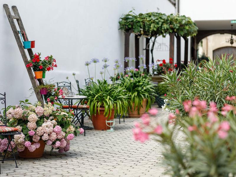 BB6E2314DBFBB9634D0BE2255711B920