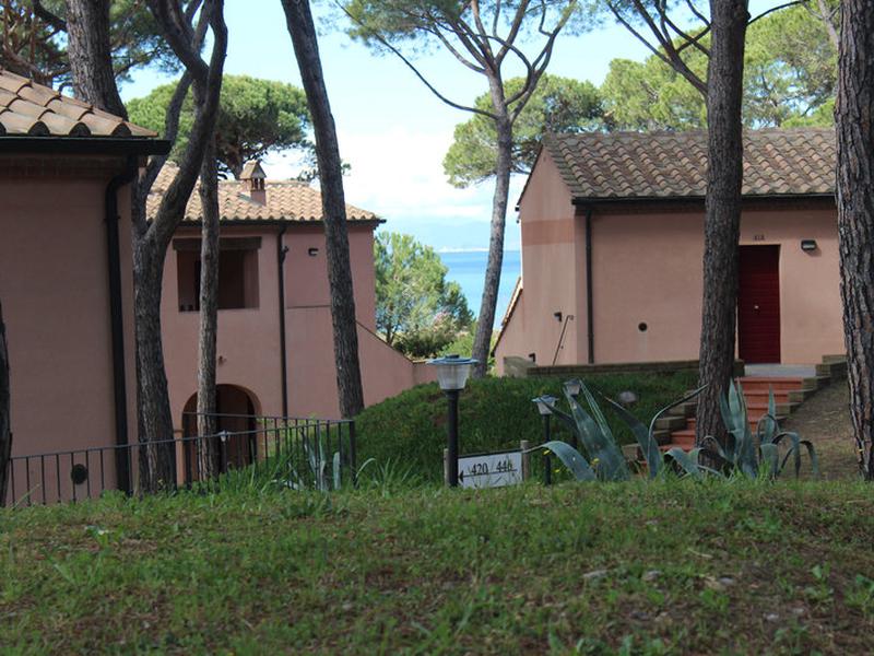 21BF4A28F055B5F99C89C06230FC7DED