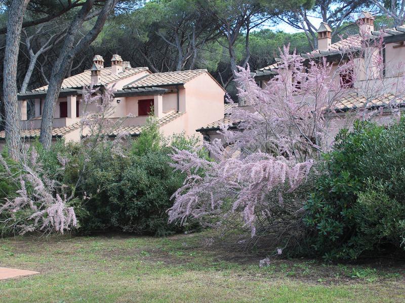 0C410852DB8854B1426268BD8CEF1B9E